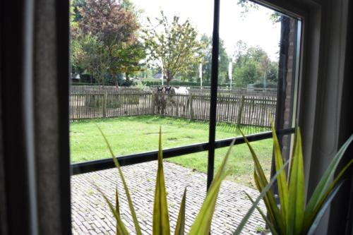 a view of a horse in a field through a window at Groepsboerderij 20 pers. in Voorthuizen