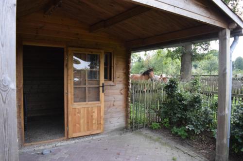 an open door of a house with a horse behind a fence at Groepsboerderij 20 pers. in Voorthuizen