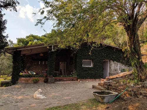 Zahrada ubytování SaffronStays Nandanvan Estate, Kodaikanal