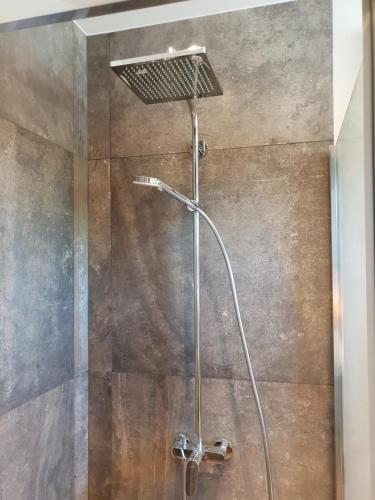 a shower with a shower head in a bathroom at MOLO APART in Mosty