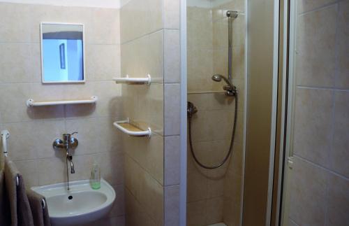 a bathroom with a shower and a sink at Chalupa Hojna Voda in Horní Stropnice