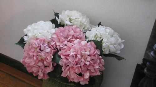Gallery image of Dimora Fiorita Senior My Holiday Home in Varallo