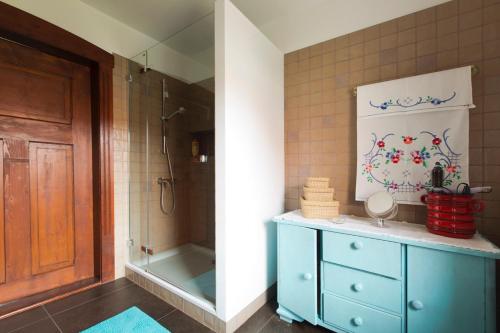 Dom Tomkowice في Tomkowice: حمام مزود بخزانة ملابس زرقاء ودش