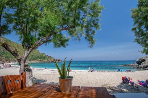 Gallery image of Puerto Seaside Rooms in Akhladherí