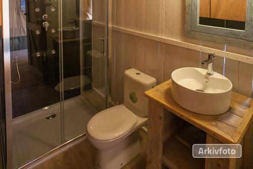 uma casa de banho com um WC, um lavatório e um chuveiro em Dancamps Trelde Naes em Fredericia