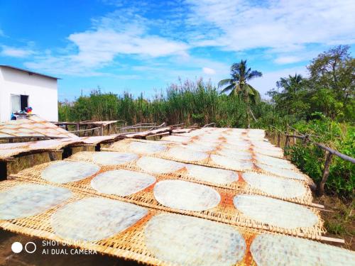 Gambar di galeri bagi MIDMOST Boutique Hostel di Can Tho