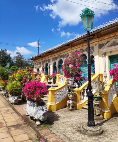Taman di luar MIDMOST Boutique Hostel