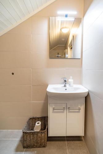 a bathroom with a sink and a mirror at Hemmingodden Lodge in Ballstad