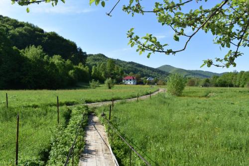 a dirt road through a field with a house in the distance at Готель Довбуш in Yaremche
