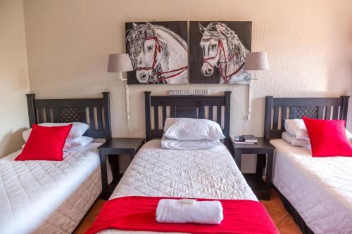 Tzaneen Arborpark Lodge – Photos 4