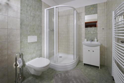 a bathroom with a shower and a toilet and a sink at Penzion Pivovar Podlesí in Příbram