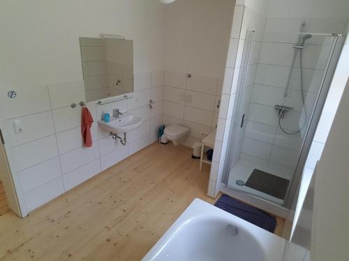 a bathroom with a sink and a shower and a toilet at Haus Roy in Zülpich