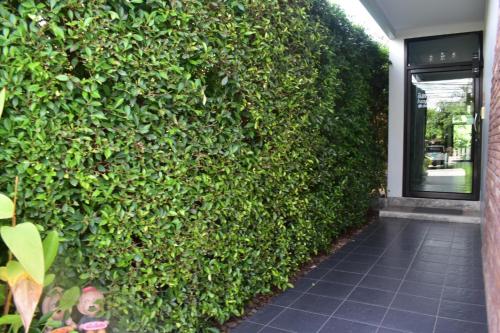 an entrance to a building with a green wall at Isayarada Apartment in Thalang