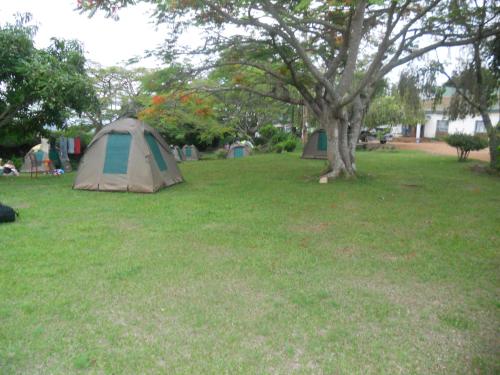 two tents in a field next to a tree at Masaka Backpackers, Tourists Cottage & Campsite in Masaka
