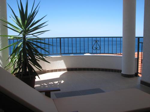 a balcony with a palm tree and a view of the ocean at Apartments Leut in Sveti Stefan