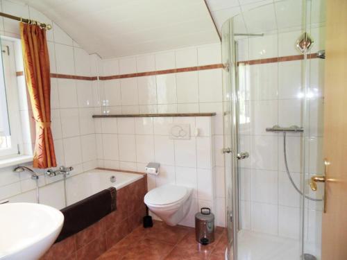 a bathroom with a toilet and a shower at Ferienwohnung Konrad Pfeifer in Schruns-Tschagguns