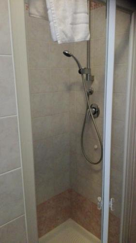 a shower with a shower head in a bathroom at Appartamento Elegance in Lignano Sabbiadoro
