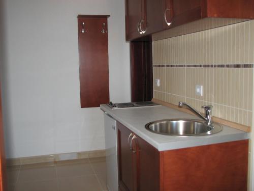 a kitchen with a stainless steel sink and brown cabinets at Apartments Leut in Sveti Stefan