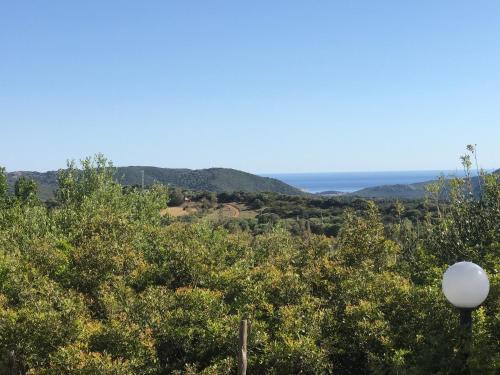 a view of the ocean from behind some trees at Hotel Belvedere in Teulada