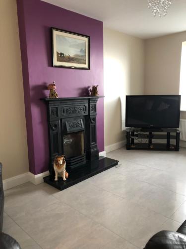 a cat standing in a living room with a fireplace at Skellig View House in Waterville