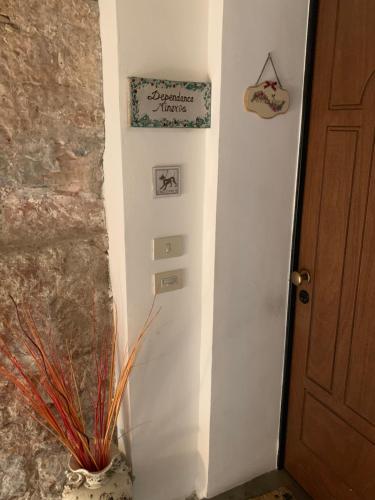 a hallway with a door and a plant in a vase at Apartments Aurora Delle Rose in Assisi
