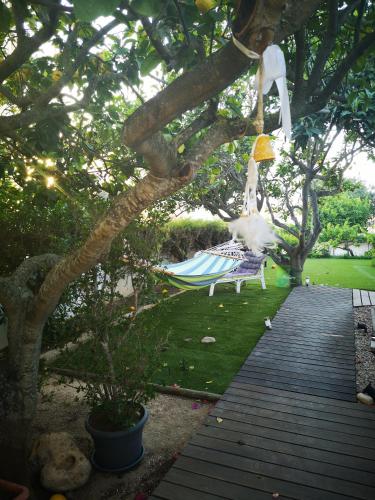 a hammock hanging from a tree in a garden at Nature Guesthouse in Lagos