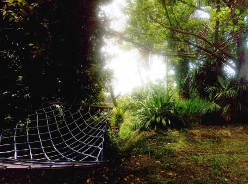 a cage in the middle of a forest at Старый дом! in Chakvi