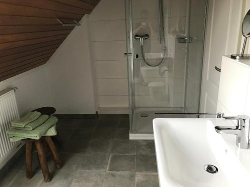 La salle de bains est pourvue d'une douche, d'un lavabo et de toilettes. dans l'établissement BB Baischhof Barabein, à Warthausen