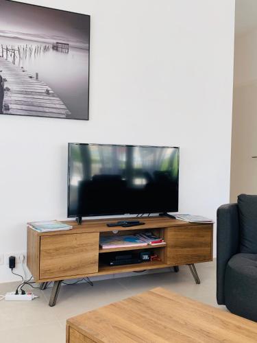 a living room with a flat screen tv on a wooden entertainment center at ALPS COCOON in Annecy
