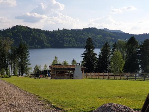 a cabin in a field next to a lake at Osada Brzezia in Kluszkowce