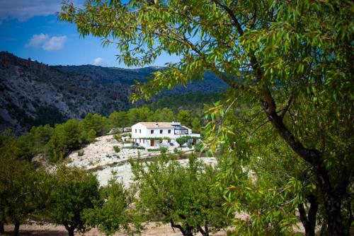 Galeriebild der Unterkunft Cortijo Blanco in Vélez-Blanco