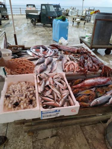 a display of different types of fish on a table at Aspra al delfino blu in Bagheria