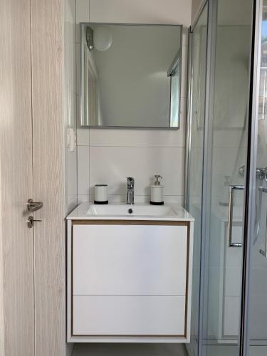 トレンチアンスケ・テプリツェにあるTreehouse Apartmentsの洗面台とシャワー付きの白いバスルーム