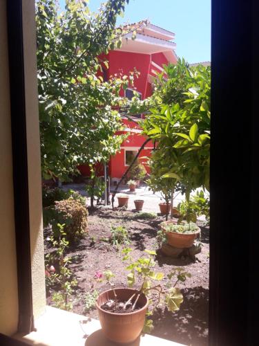 a view of a garden with trees and a red building at Domu de Palla- IUN-E5167 in Bauladu