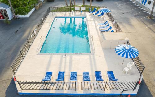 an overhead view of a swimming pool with chairs and an umbrella at Royal Palms Motel in Tybee Island