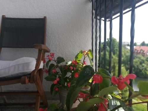 a chair and a potted plant next to a window at River View Apartment Gospic in Gospić