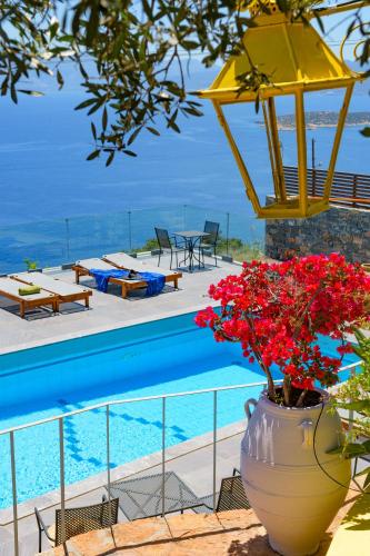 Foto Villa Olga 6