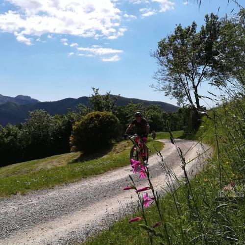 a man riding a bike down a dirt road at Agriturismo Tripala in Minucciano