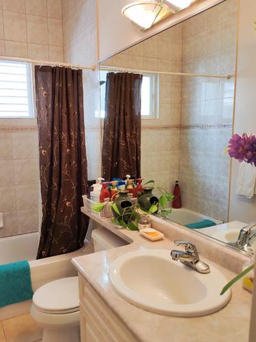 a bathroom with a sink and a toilet and a mirror at Helen's House / Close to Skytrain and Airport in Vancouver