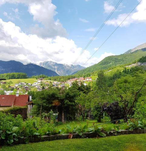 a view of a village with mountains in the background at Aparthotel Pan Haus in Bad Ischl