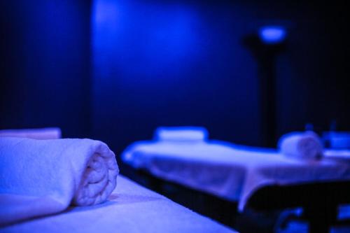 a room with two beds in a blue room at Thermal Saray Hotel & Yalova in Gokcedere