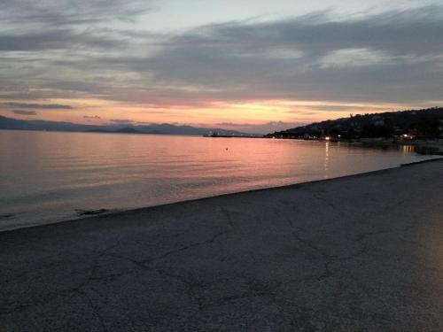 Φυσικό τοπίο κοντά σε αυτό το διαμέρισμα