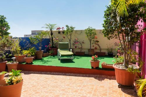 un jardin avec une chaise et une pelouse verte dans l'établissement Casa Vilasanta, à Guadalajara