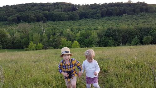 two children walking in a field of grass at Pálos Resort in Zalacsány
