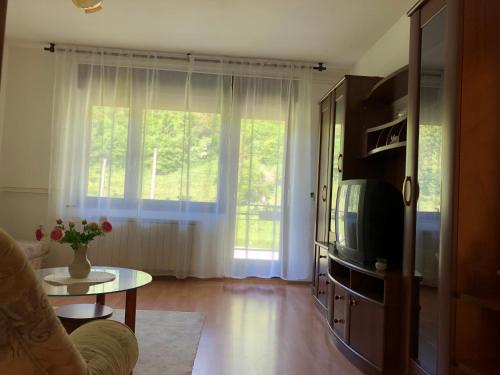 TV a/nebo společenská místnost v ubytování Vrata pri Čepovanu