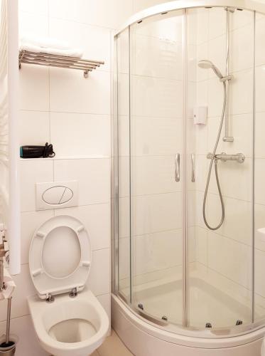 a bathroom with a shower and a toilet at Aparthotel Pan Haus in Bad Ischl