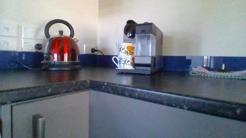 a kitchen counter with a tea kettle and a toaster at Waihakeke Cottage in Carterton