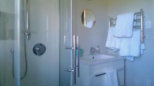 a bathroom with a shower and a sink and a shower at Waihakeke Cottage in Carterton