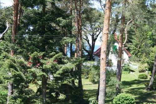 a garden with trees and a house in the background at Baltic Apartments in Pobierowo