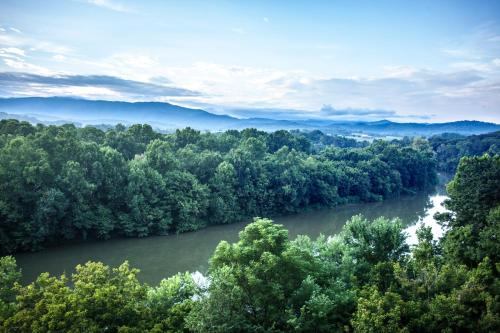 an aerial view of a river with trees at Nolichuckey Bluffs Bed & Breakfast Cabins in Greeneville